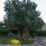 Il Mio Paradiso וילה פאסאנו
