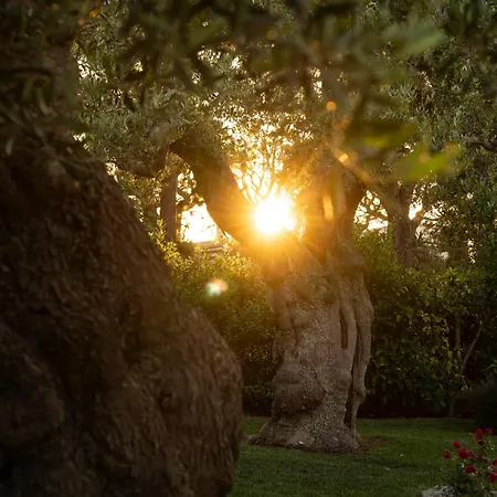 Il Mio Paradiso