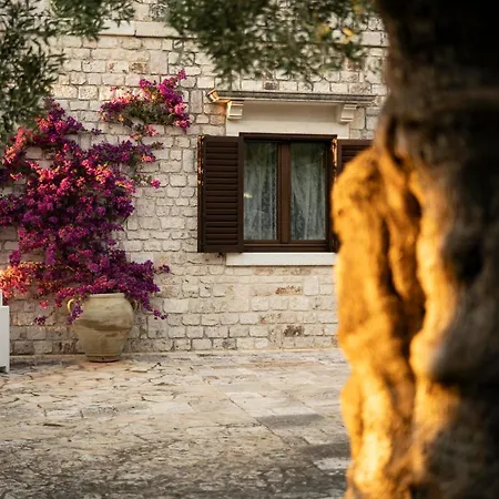 Villa Il Mio Paradiso