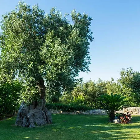 Villa Il Mio Paradiso Fasano