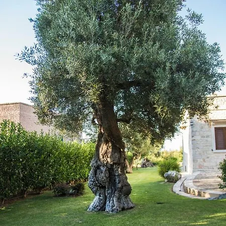 Il Mio Paradiso Fasano