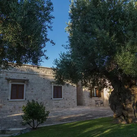 Il Mio Paradiso Fasano