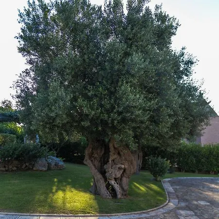 Il Mio Paradiso Villa Fasano